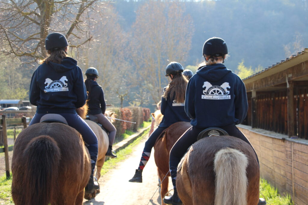 Reiterinnen der Trimbser Mühle gemeinsam mit ihren Islandpferden auf der Reitanlage
