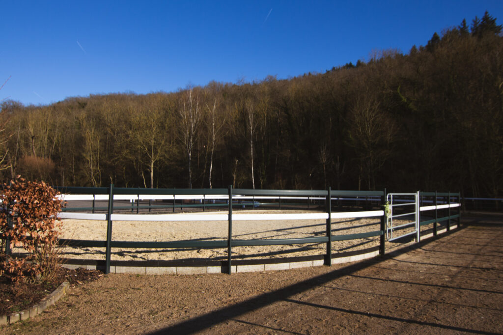 Round-Pen der Trimbser Mühle für Bodenarbeit und Pferdetraining