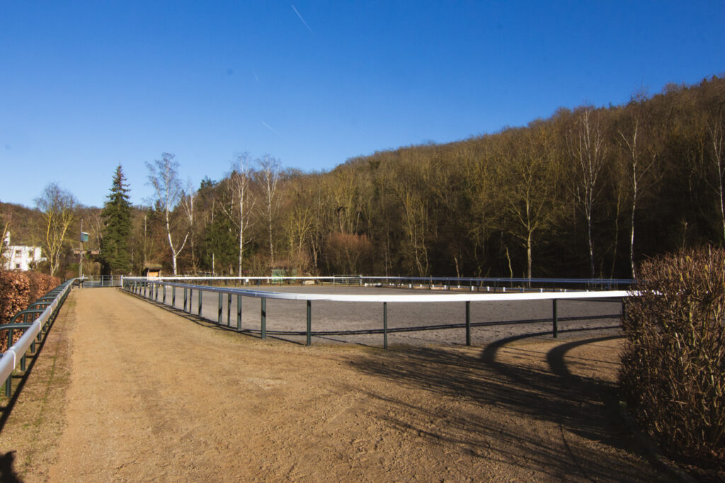 Außenreitplatz der Trimbser Mühle in Trimbs