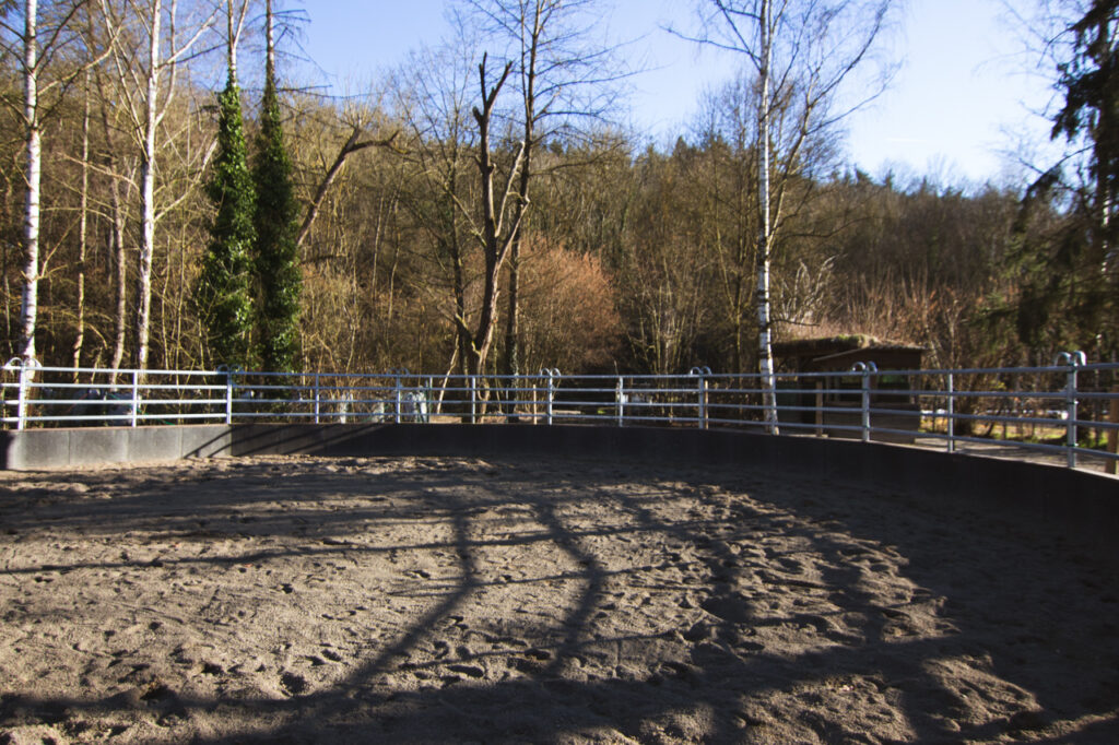 Round-Pen der Trimbser Mühle für Bodenarbeit und Pferdetraining