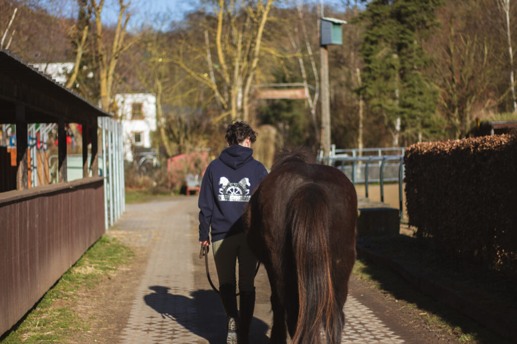 Reiterin führt ein Islandpferd über die Reitanlage der Trimbser Mühle